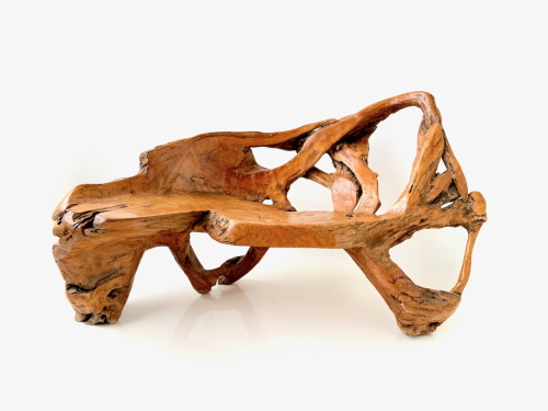Mid 20th Century Carved Teak root bench In the manner of Alexandre Noll, France.